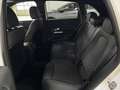 Mercedes-Benz B 250 B 250 e Prog Adv RüCam LED Night WinterP AHK Navi Weiß - thumbnail 18