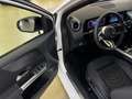 Mercedes-Benz B 250 B 250 e Prog Adv RüCam LED Night WinterP AHK Navi Weiß - thumbnail 13