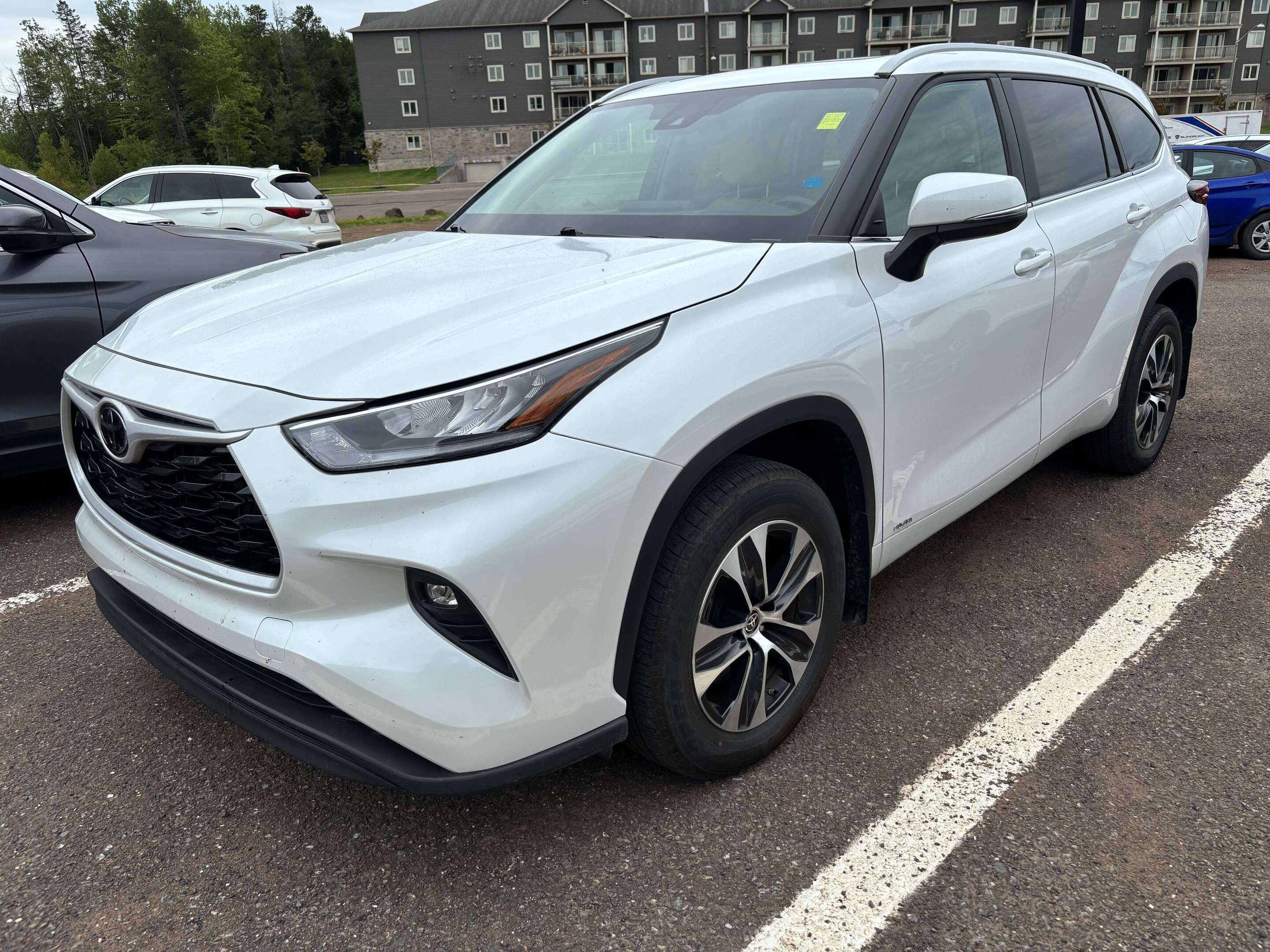 2025 Toyota Highlander XLE