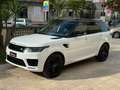 Land Rover Range Rover Sport 3.0d i6 mhev HSE Dynamic 249cv auto Bianco - thumbnail 3