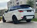 Land Rover Range Rover Sport 3.0d i6 mhev HSE Dynamic 249cv auto Bianco - thumbnail 4