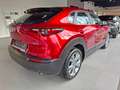 Mazda CX-30 e-Skyactive G140 Centre-Line Aut. AUTO STAHL WI... Rot - thumbnail 2