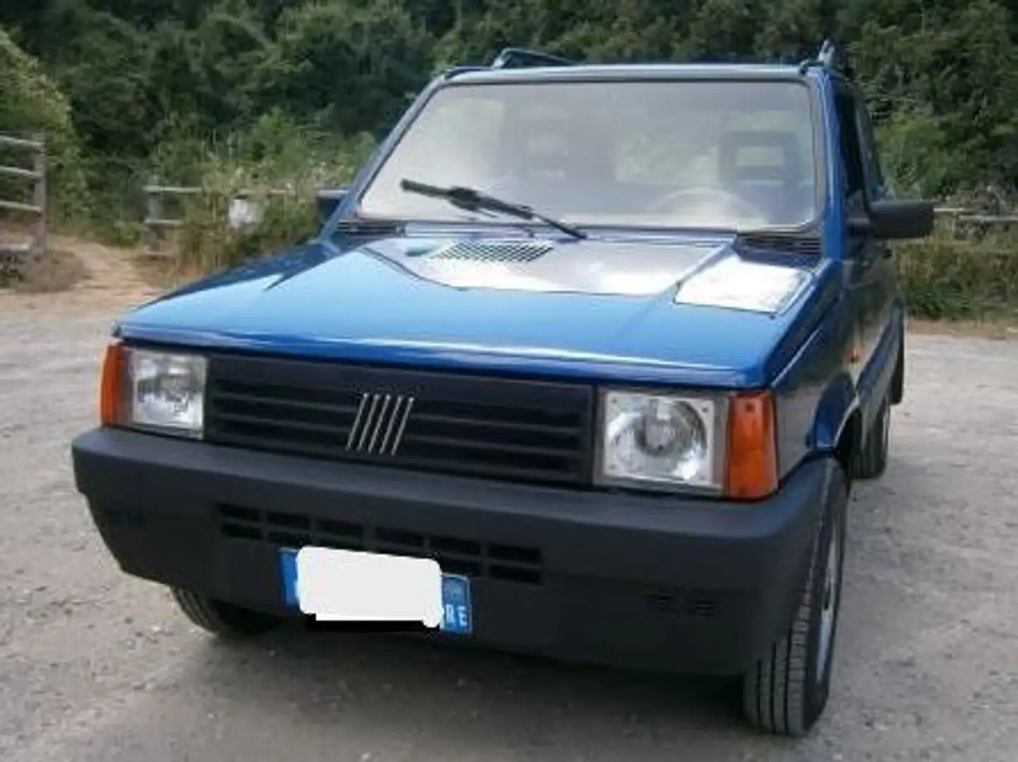 Fiat Panda Panda 1.1 Trekking 4x4 Blu/Azzurro - 1