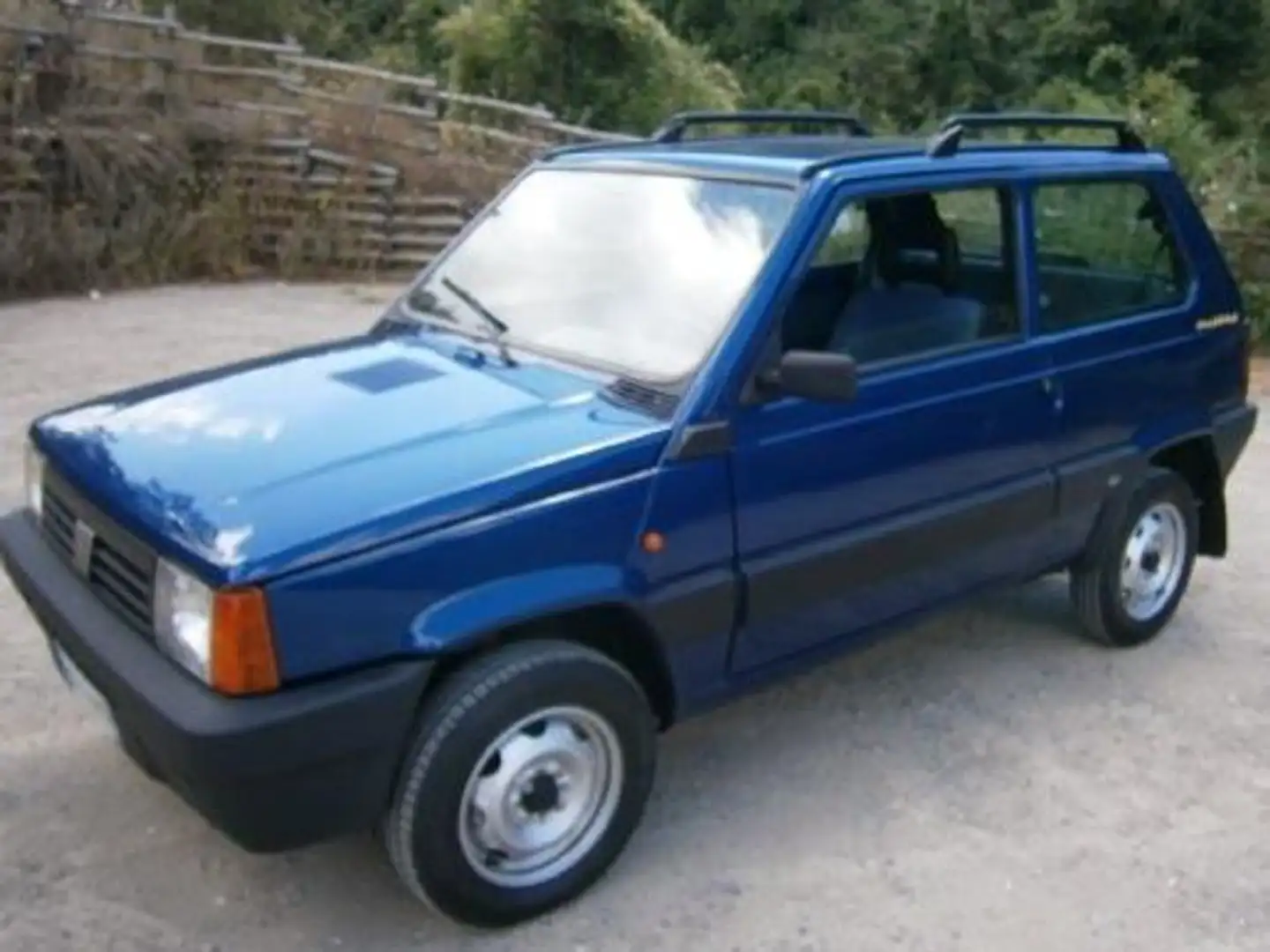 Fiat Panda Panda 1.1 Trekking 4x4 Blu/Azzurro - 2
