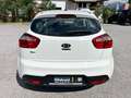 Kia Rio 1,2 MPI *Titan* 2015 Weiß - thumbnail 6