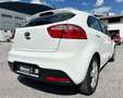 Kia Rio 1,2 MPI *Titan* 2015 Weiß - thumbnail 5