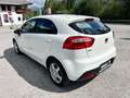 Kia Rio 1,2 MPI *Titan* 2015 Weiß - thumbnail 4