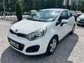 Kia Rio 1,2 MPI *Titan* 2015 Weiß - thumbnail 1