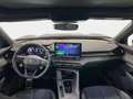 CUPRA Terramar VZ 2.0 TSI 265PS/195kW 4x4 DSG7 2026 | +20" ALU... Grau - thumbnail 9