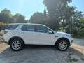 Land Rover Discovery Sport Discovery Sport I 2.0 td4 SE 150cv 7pst Bianco - thumbnail 10