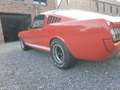 Ford Mustang Fastback Shelby GT350 Tribute, Schaltgetriebe Rot - thumbnail 2