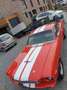 Ford Mustang Fastback Shelby GT350 Tribute, Schaltgetriebe Rot - thumbnail 4