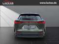 Lexus NX 350h 243 PS - E-Four AWD *Executive* Interieur - Paket Verde - thumbnail 4