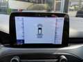 Ford Focus 1.5 EcoBlue 120 CV 5p. Active Weiß - thumbnail 29