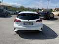 Ford Focus 1.5 EcoBlue 120 CV 5p. Active Weiß - thumbnail 5