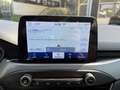Ford Focus 1.5 EcoBlue 120 CV 5p. Active Weiß - thumbnail 15