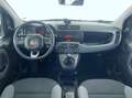 Fiat Panda Panda 0.9 TwinAir Turbo Natural Power Easy Béžová - thumbnail 9