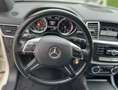 Mercedes-Benz ML 250 BlueTEC 4MATIC 7G-TRONIC Edition 1 White - thumbnail 5