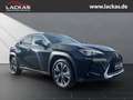 Lexus UX 250h 250h 250 h 250h*LED*KAMERA* TOP*TWW*DAB*SERVICE NEU* Noir - thumbnail 7