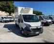 Citroen Jumper 35Q frigo 0 - 4 gradi coibentato porta late Bianco - thumbnail 3