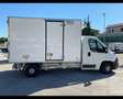 Citroen Jumper 35Q frigo 0 - 4 gradi coibentato porta late Bianco - thumbnail 11