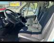 Citroen Jumper 35Q frigo 0 - 4 gradi coibentato porta late Bianco - thumbnail 7