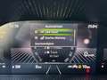 Skoda Fabia 1.0 MPI 130 JAHRE+KAMERA+DAB+LM+5JGARANTIE Grau - thumbnail 18