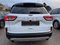 Ford Kuga 1,5 EcoBlue TDCI Automatik Titanium Weiß - thumbnail 5