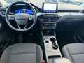 Ford Kuga 1,5 EcoBlue TDCI Automatik Titanium Weiß - thumbnail 9