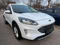 Ford Kuga 1,5 EcoBlue TDCI Automatik Titanium Weiß - thumbnail 2