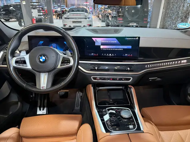 BMW X6 view 10