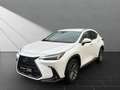 Lexus NX 350h Interieur- & Technikpaket Weiß - thumbnail 1