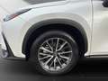 Lexus NX 350h 350 h Interieur- & Technikpaket Weiß - thumbnail 21
