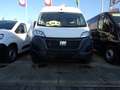 Fiat Ducato Tetto Alto Passo Medio 35q  2.2 MJ 140cv  KM Zero Bianco - thumbnail 13