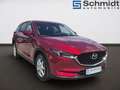 Mazda CX-5 /CD150/AT/TAKUMI MIT ANHÄNGEVORRICHTUNG Rot - thumbnail 6
