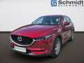 Mazda CX-5 /CD150/AT/TAKUMI MIT ANHÄNGEVORRICHTUNG Rot - thumbnail 1