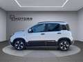Fiat Panda PANDINA KM0, 1.0 HYBRID, BIANCO GELATO, P.CONSEGNA Bianco - thumbnail 2