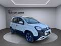 Fiat Panda PANDINA KM0, 1.0 HYBRID, BIANCO GELATO, P.CONSEGNA Bianco - thumbnail 14