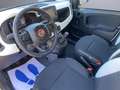 Fiat Panda PANDINA KM0, 1.0 HYBRID, BIANCO GELATO, P.CONSEGNA Bianco - thumbnail 5