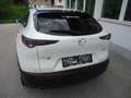 Mazda CX-30 G150 AWD Comfort+/SO/ST Weiß - thumbnail 5