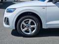 Audi Q5 40 TDI quattro S-line S-tronic *LED*AHK*Navi* - thumbnail 11