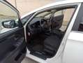 Kia Carens 1.7CRDi Drive 115 Blanco - thumbnail 4