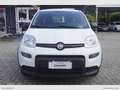 Fiat Panda 1.0 GSE Hybrid Street Van 4 p.ti Weiß - thumbnail 2