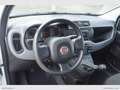 Fiat Panda 1.0 GSE Hybrid Street Van 4 p.ti Weiß - thumbnail 7