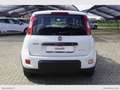 Fiat Panda 1.0 GSE Hybrid Street Van 4 p.ti Weiß - thumbnail 5