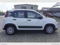 Fiat Panda 1.0 GSE Hybrid Street Van 4 p.ti Weiß - thumbnail 4
