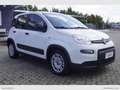 Fiat Panda 1.0 GSE Hybrid Street Van 4 p.ti Weiß - thumbnail 3