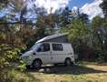 Ford Transit Bus Westfalia Nugget Wit - thumbnail 1