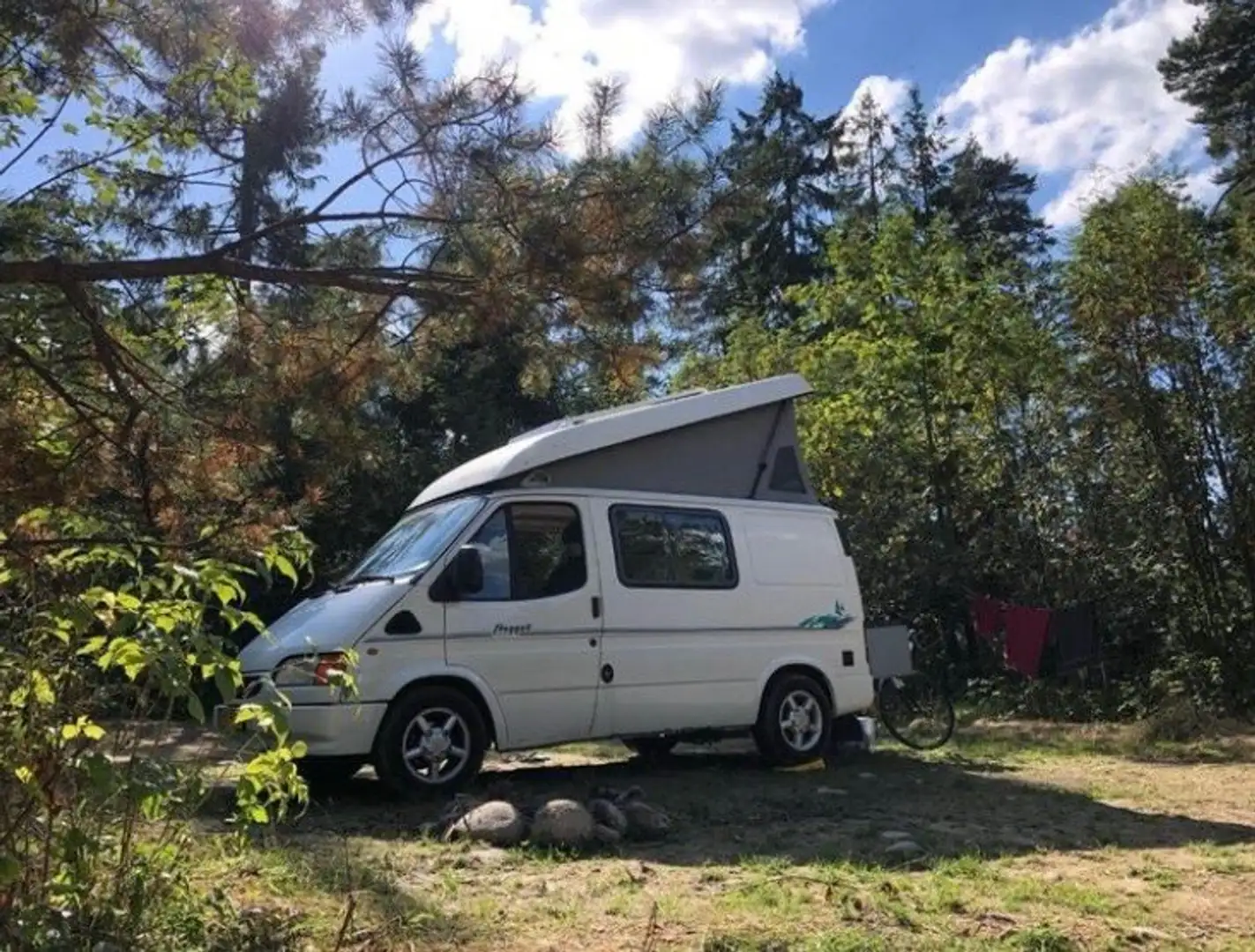 Ford Transit Bus Westfalia Nugget Wit - 1