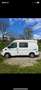 Ford Transit Bus Westfalia Nugget Wit - thumbnail 7